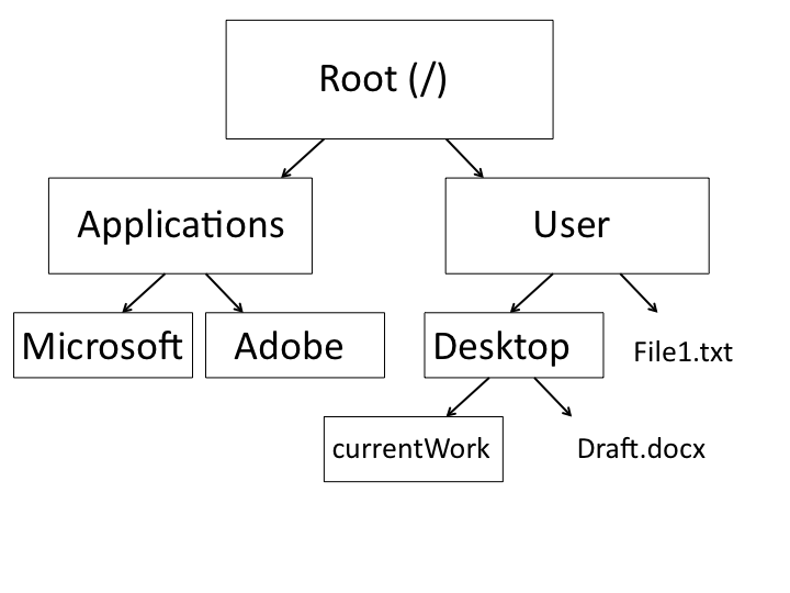 UNIX directory structure example